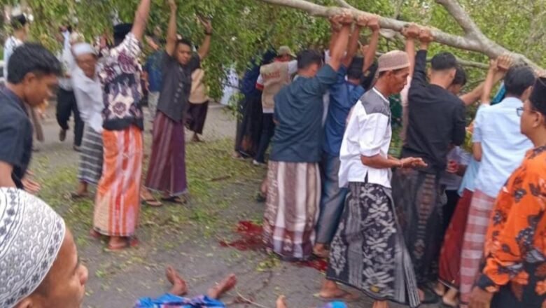 Pohon Beringin Tumbang di Pemalang, 2 Tewas dan Belasan Luka