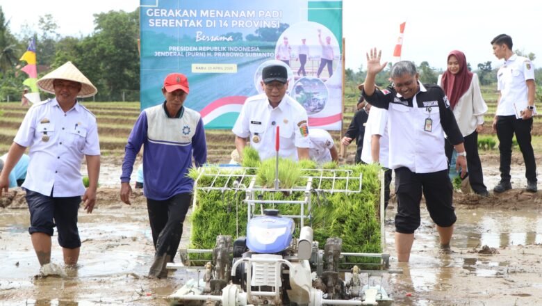 Tingkatkan Produksi Padi, Lampung Sambut Gerakan Indonesia Menanam 2025