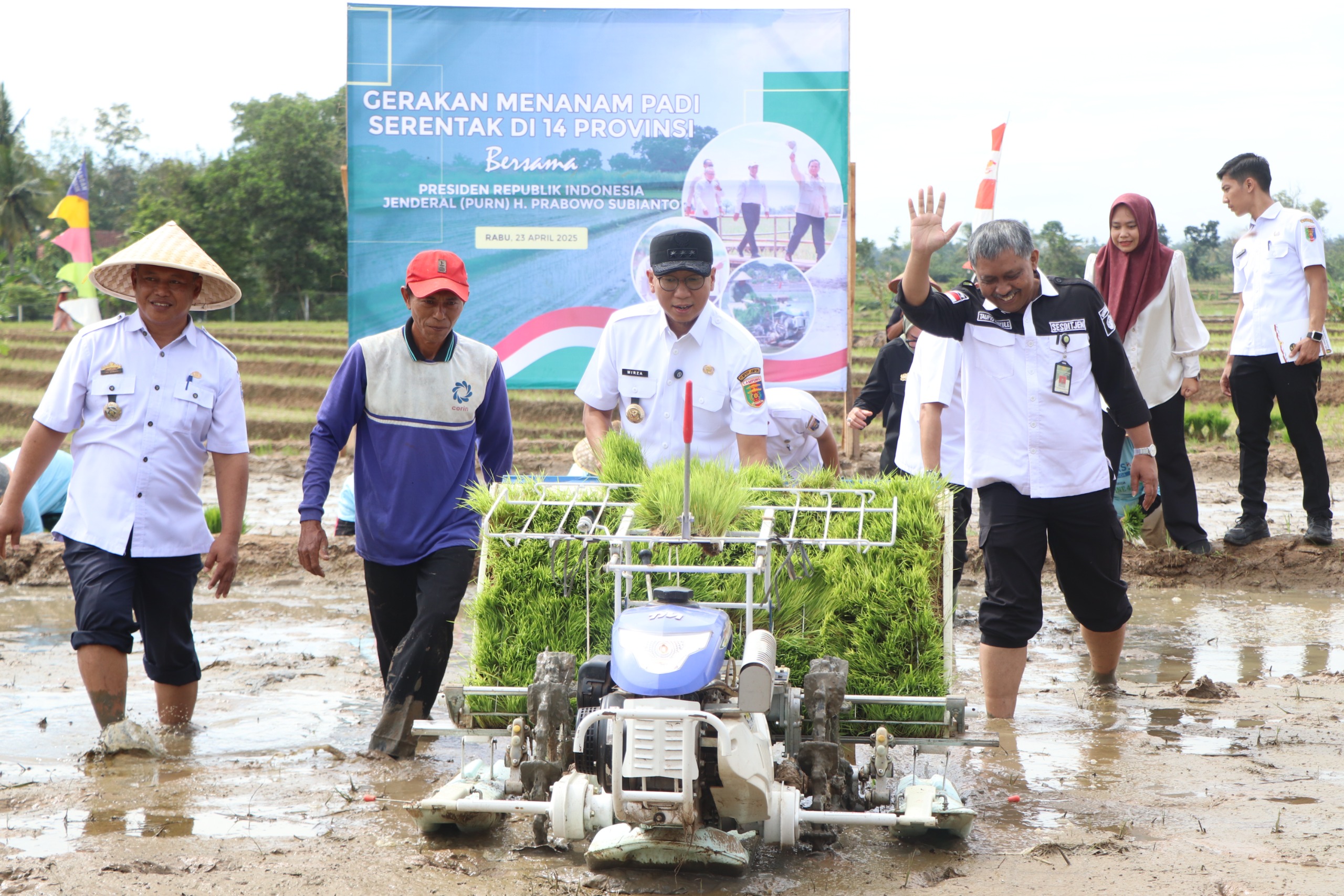 Tingkatkan Produksi Padi, Lampung Sambut Gerakan Indonesia Menanam 2025