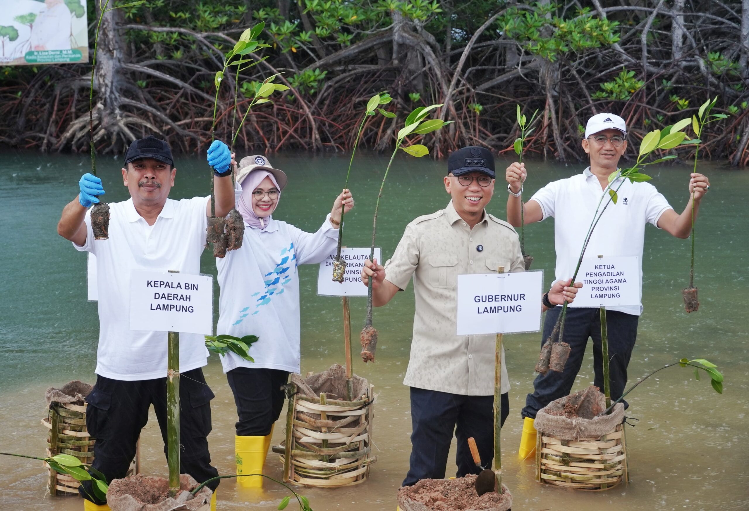 Gubernur Lampung Tanam 3.000 Mangrove dan Tinjau Teknologi Appostrap di Pesawaran