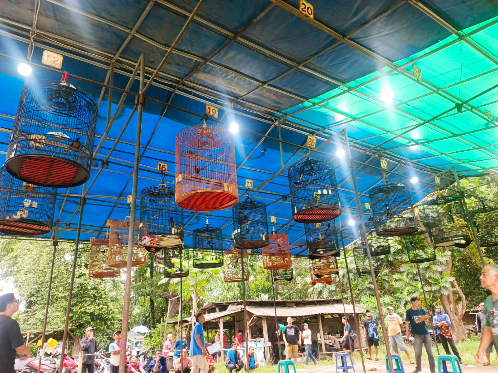 Latber Jumat Ceria di Gantangan Pagar Alam: Komunitas Kicau Mania Semakin Solid