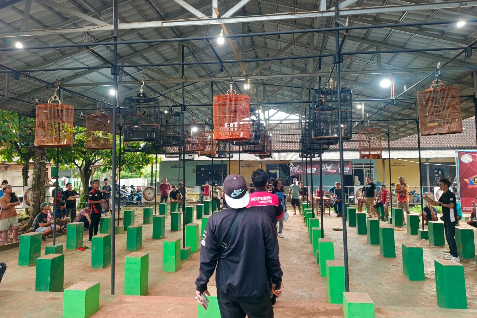 Latber Gantangan Coklatan di Kemiling B.Lampung: Latihan Rutin Rasa Lomba