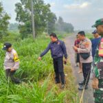 Mayat Sopir Travel Ditemukan di Jati Agung, Diduga Dibegal