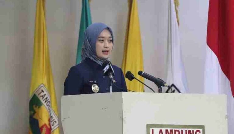 Wagub Jihan Paparkan Raperda RPJMD dan APBD Lampung 2024