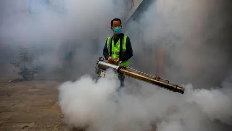 Wabah Chikungunya Melanda China: 7.000 Kasus Muncul, Kenali Gejala dan Cara Mencegahnya