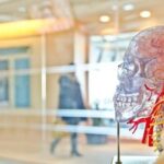 Waspada! Pagi Hari Jadi Waktu Rawan Serangan Stroke, Kenali Gejala dan Pemicunya