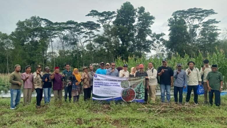IPB Hadirkan Inovasi Pertanian Lewat Program Dospulkam di Tubaba