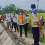 Monitoring BBWS Mesuji Sekampung Dukung Ketahanan Pangan Nasional