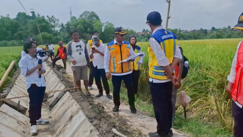 Monitoring BBWS Mesuji Sekampung Dukung Ketahanan Pangan Nasional