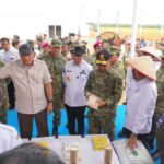 Panen Kedelai di Lampung Utara Jadi Simbol Kolaborasi Pemerintah dan TNI Wujudkan Kedaulatan Pangan Nasional