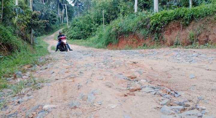 Warga Keluhkan Jalan Rusak di Karang Jaya