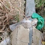 Diduga Cemari Lingkungan, Pipa Limbah Indokom Pecah dan Warga Minta Penindakan Cepat