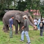 Taman Nasional Way Kambas Ditutup Sementara untuk Wisata