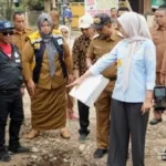 Perbaikan Jalan Ambarawa Ditinjau Wagub Lampung dan Bupati Pringsewu