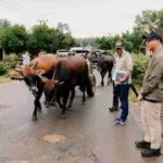 Perbaikan Jalan Pesawaran Ditinjau Gubernur Lampung Jelang Lebaran