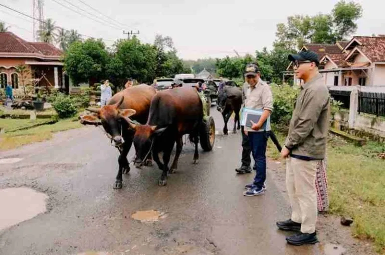 Perbaikan Jalan Pesawaran Ditinjau Gubernur Lampung Jelang Lebaran