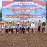 Kapolda Lampung Pimpin Penanaman Jagung Serentak di Pesawaran