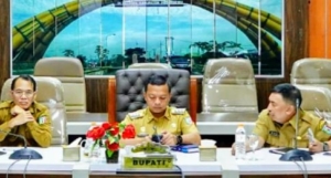 Bupati Pringsewu Ikuti RDP Komisi II DPR RI Bahas PPPK