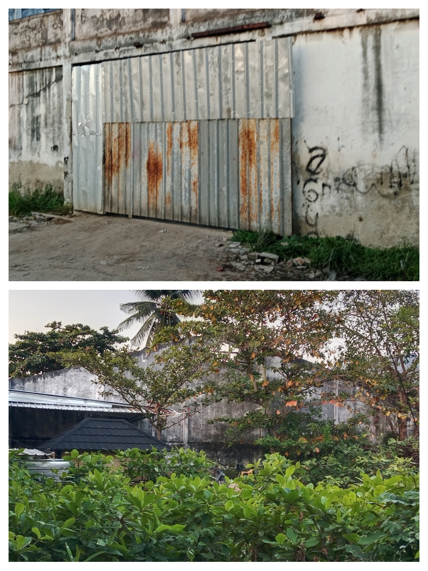 Gudang Solar Subsidi di Garuntang Disorot, Polisi Diminta Selidiki