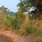 Dugaan Gudang Solar Subsidi di Garuntang, Warga Desak Aparat Bertindak