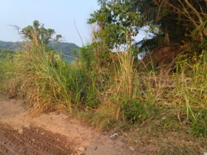 Dugaan Gudang Solar Subsidi di Garuntang, Warga Desak Aparat Bertindak