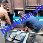 Gudang Penampungan Biosolar Diduga Beroperasi di Soekarno Hatta