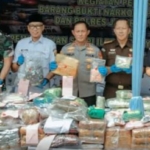 GANMN Apresiasi Kinerja Polda Lampung Berantas Narkoba