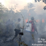 Kebakaran TN Way Kambas, Petugas Terkendala Lahan Kering