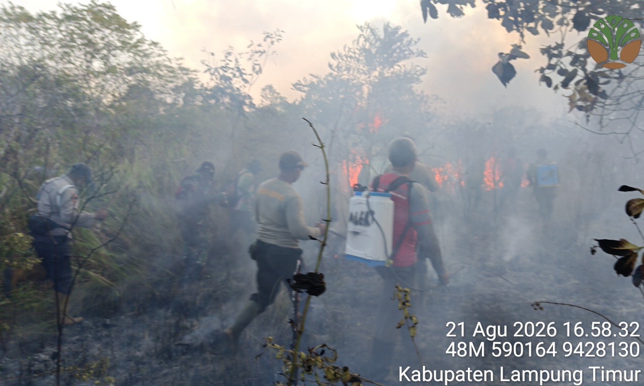 Kebakaran TN Way Kambas, Petugas Terkendala Lahan Kering