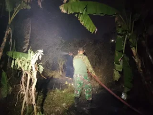 Kebakaran Lahan Tol KM 71 B Padam, Babinsa dan Damkar Bergerak Cepat